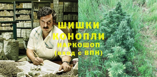 PSILOCYBIN Абдулино