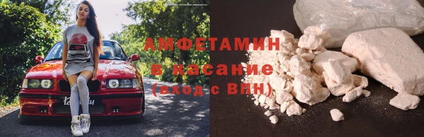 ПСИЛОЦИБИНОВЫЕ ГРИБЫ Абаза
