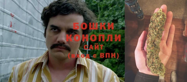 ПСИЛОЦИБИНОВЫЕ ГРИБЫ Абаза