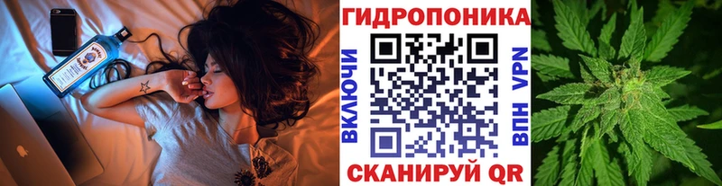 Канабис LSD WEED купить наркотики цена Галич